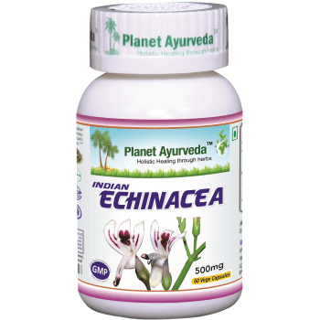 indian_echinacea